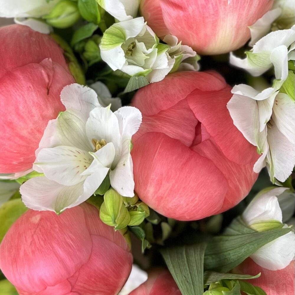 buchet din bujori roz si alstromerie alba