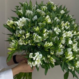 Buchete cu Alstroemeria